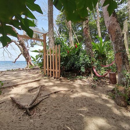 Хостел Oasis Puerto Viejo de Talamanca Экстерьер фото