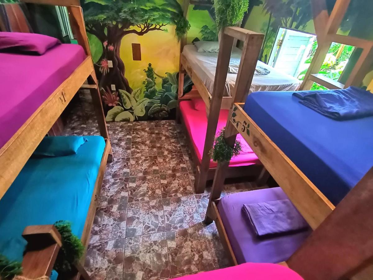 Хостел Oasis Puerto Viejo de Talamanca Экстерьер фото