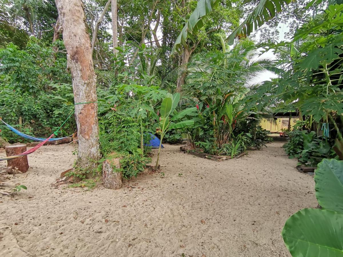 Хостел Oasis Puerto Viejo de Talamanca Экстерьер фото