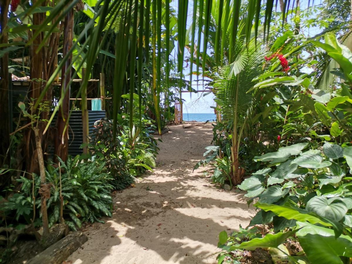 Хостел Oasis Puerto Viejo de Talamanca Экстерьер фото