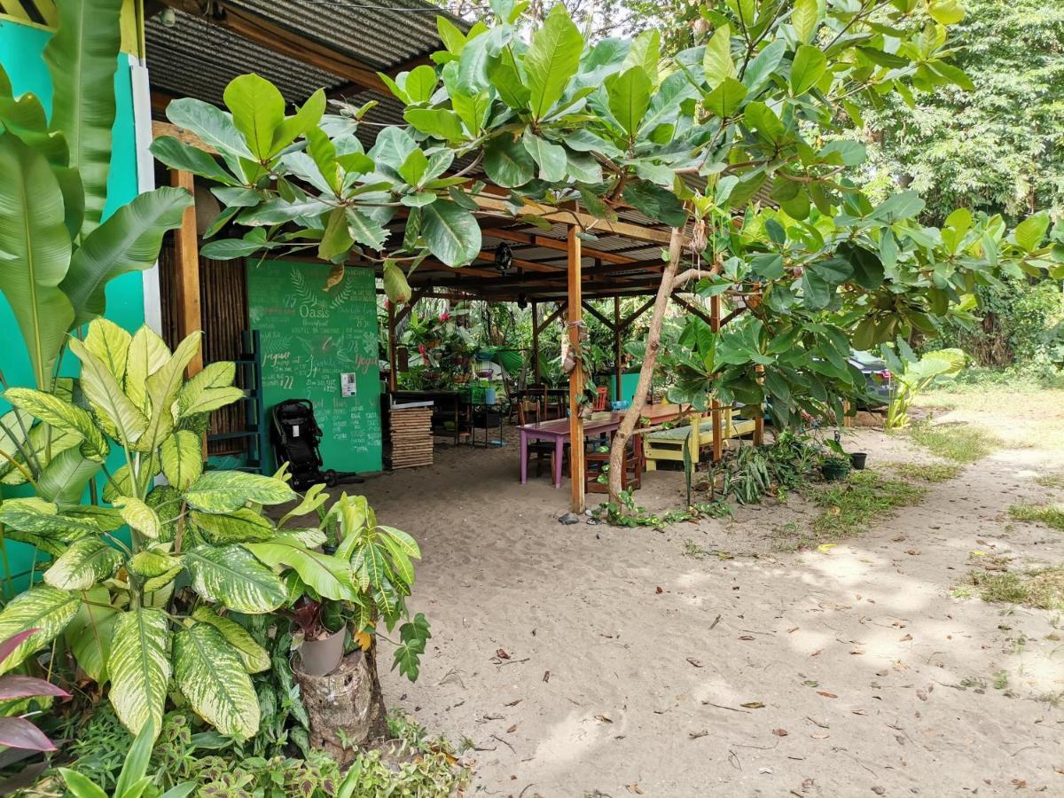 Хостел Oasis Puerto Viejo de Talamanca Экстерьер фото