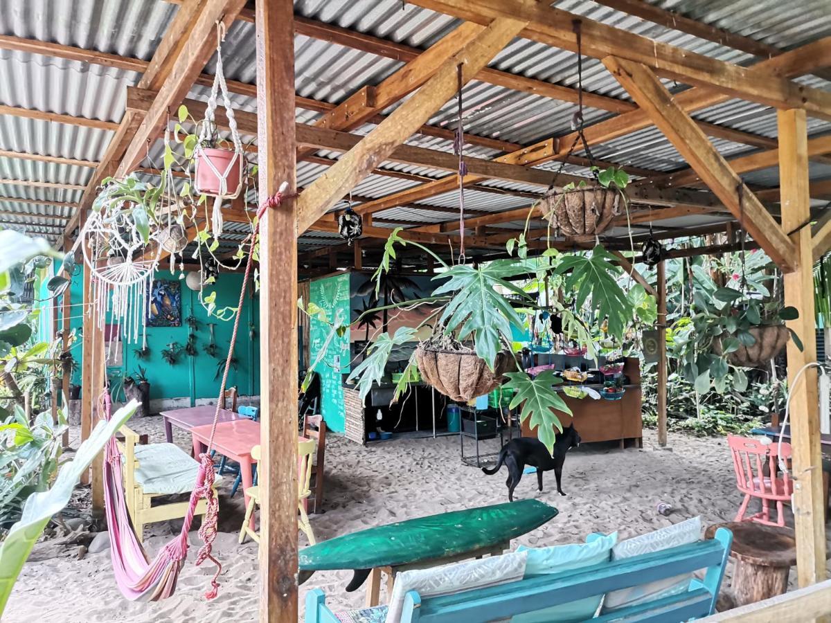Хостел Oasis Puerto Viejo de Talamanca Экстерьер фото