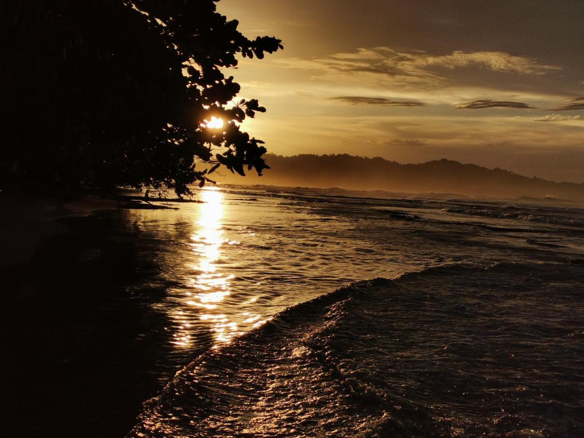 Хостел Oasis Puerto Viejo de Talamanca Экстерьер фото