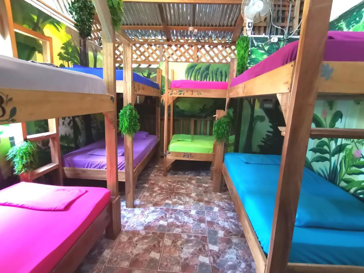 Хостел Oasis Puerto Viejo de Talamanca Экстерьер фото