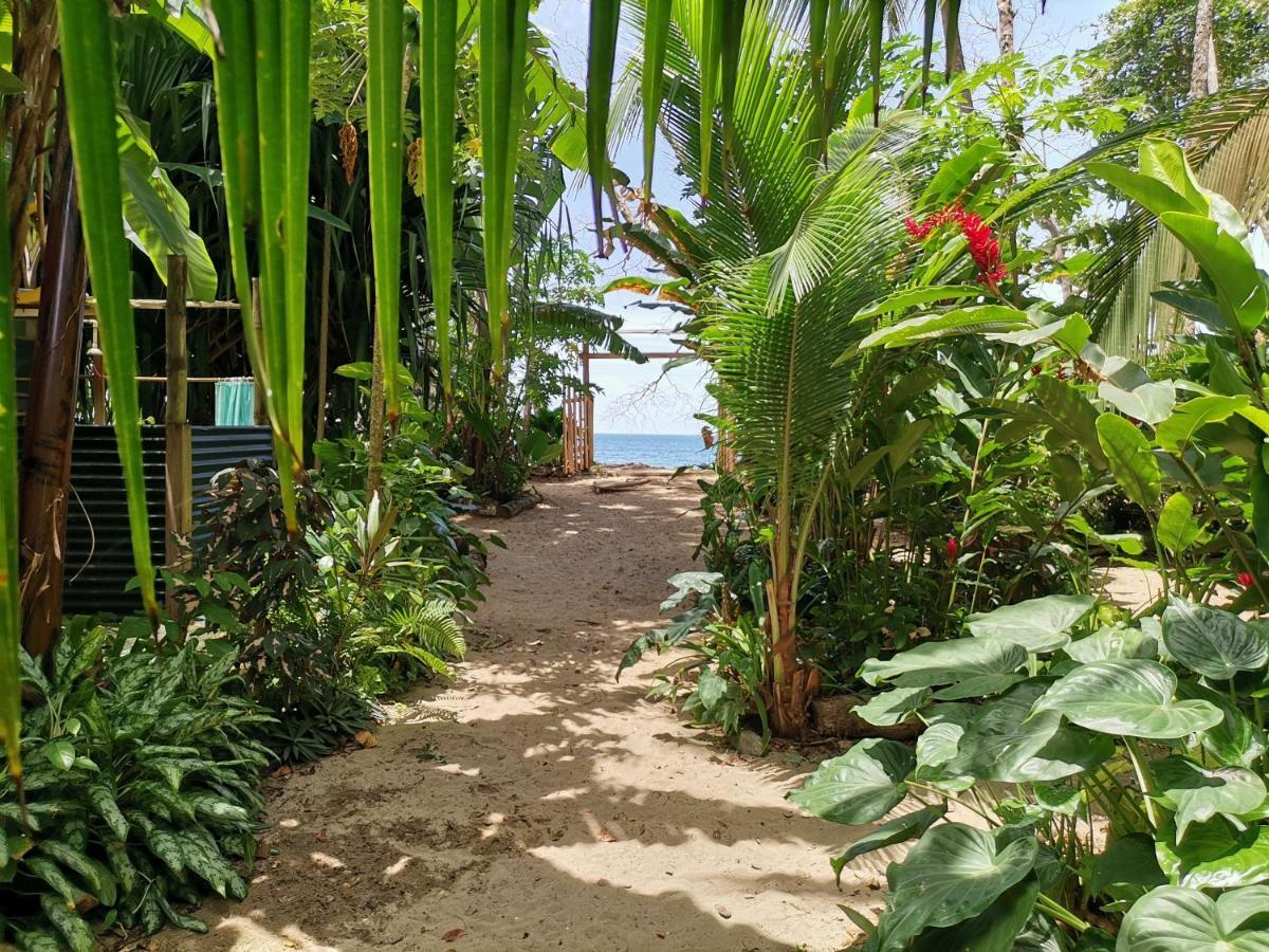 Хостел Oasis Puerto Viejo de Talamanca Экстерьер фото