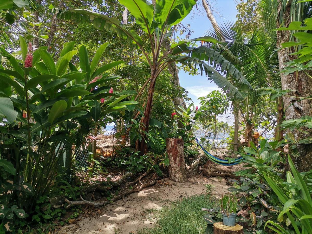 Хостел Oasis Puerto Viejo de Talamanca Экстерьер фото