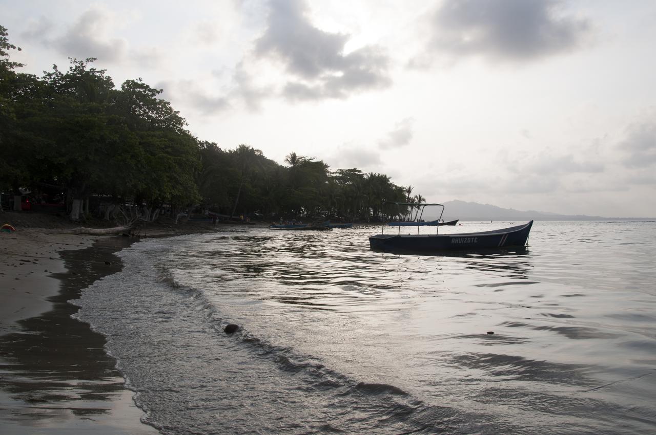 Хостел Oasis Puerto Viejo de Talamanca Экстерьер фото