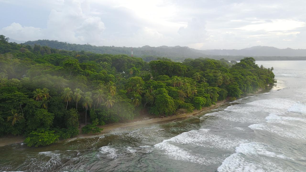 Хостел Oasis Puerto Viejo de Talamanca Экстерьер фото
