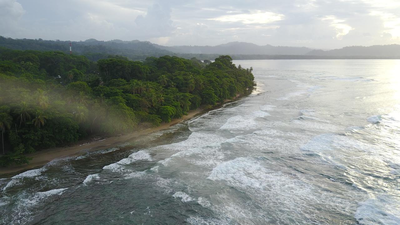 Хостел Oasis Puerto Viejo de Talamanca Экстерьер фото