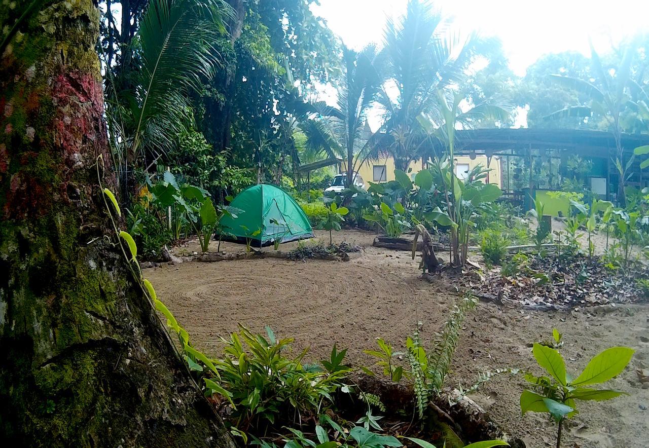 Хостел Oasis Puerto Viejo de Talamanca Экстерьер фото