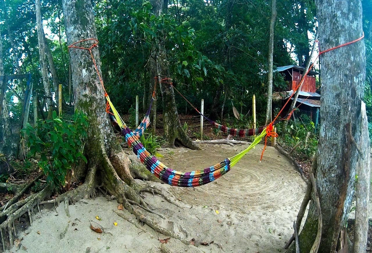 Хостел Oasis Puerto Viejo de Talamanca Экстерьер фото