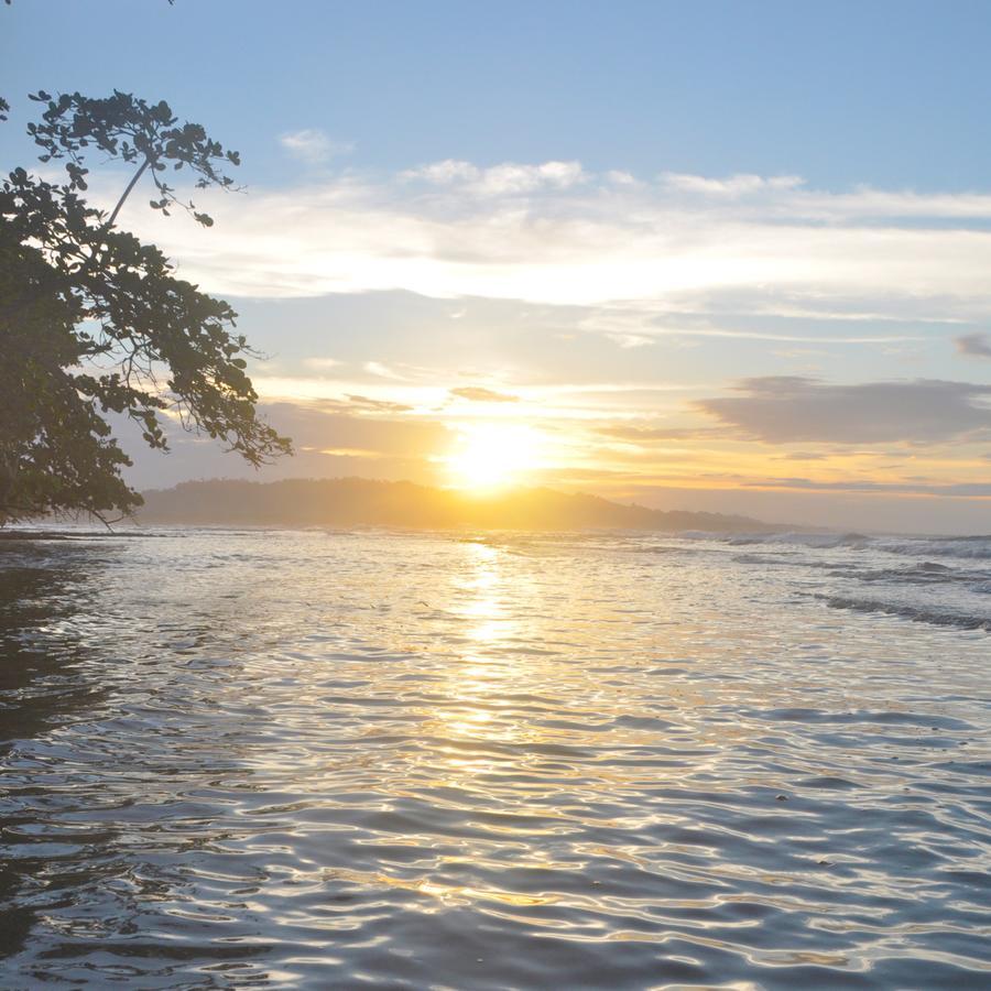 Хостел Oasis Puerto Viejo de Talamanca Экстерьер фото