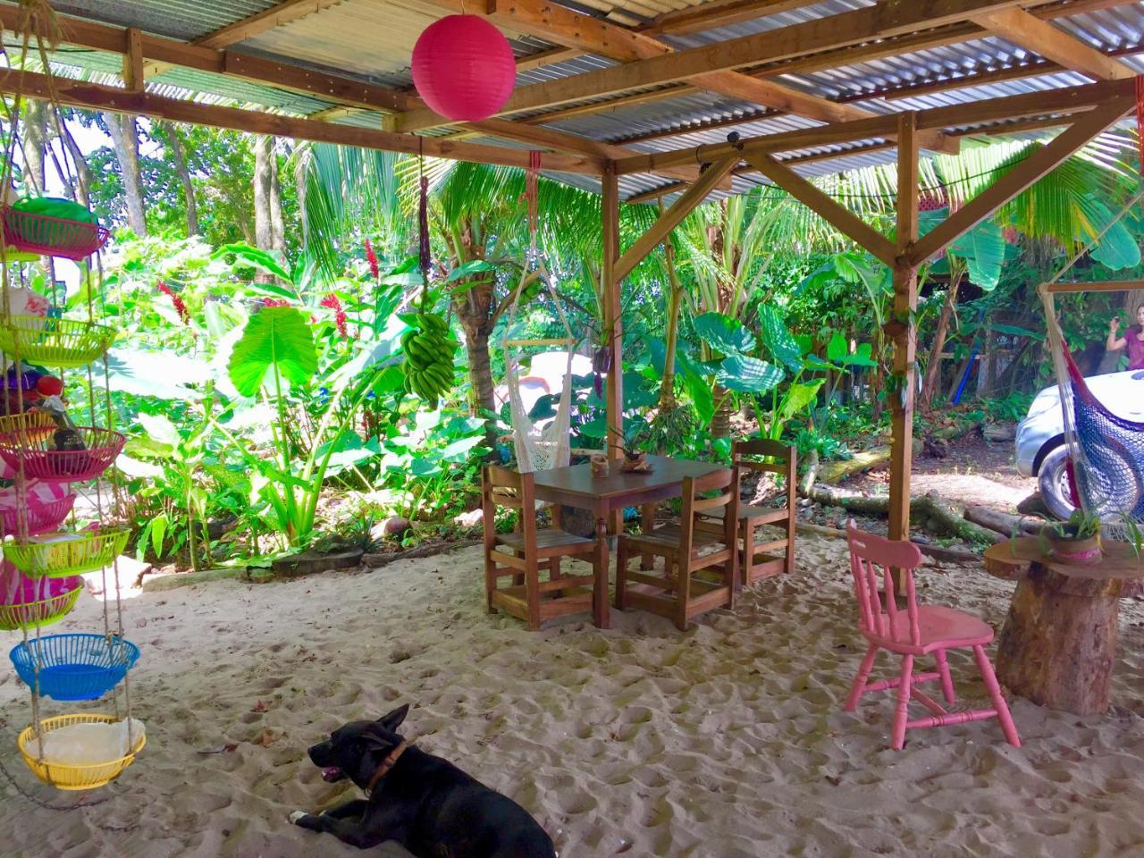 Хостел Oasis Puerto Viejo de Talamanca Экстерьер фото