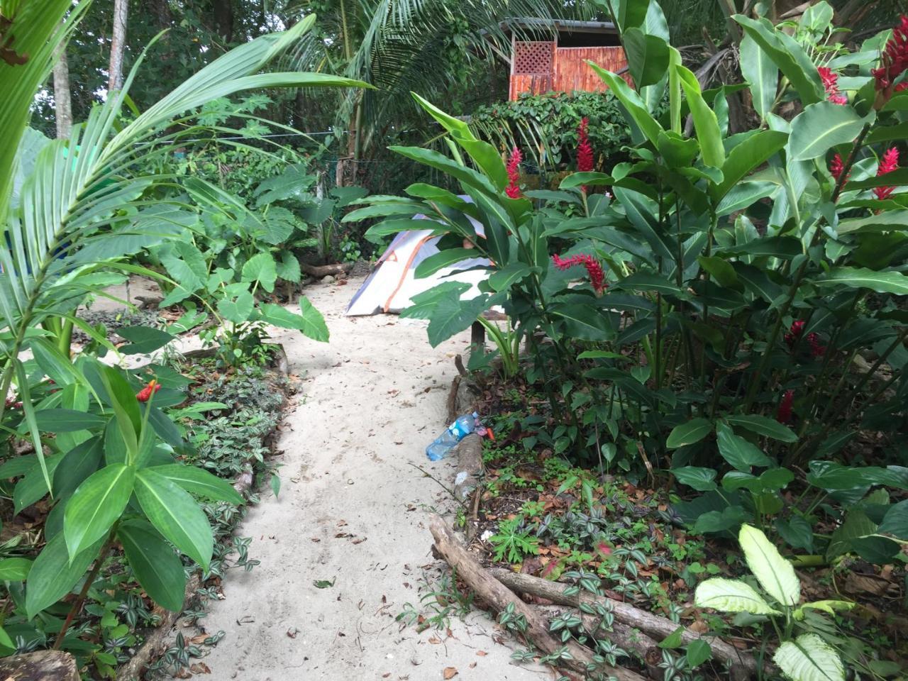 Хостел Oasis Puerto Viejo de Talamanca Экстерьер фото