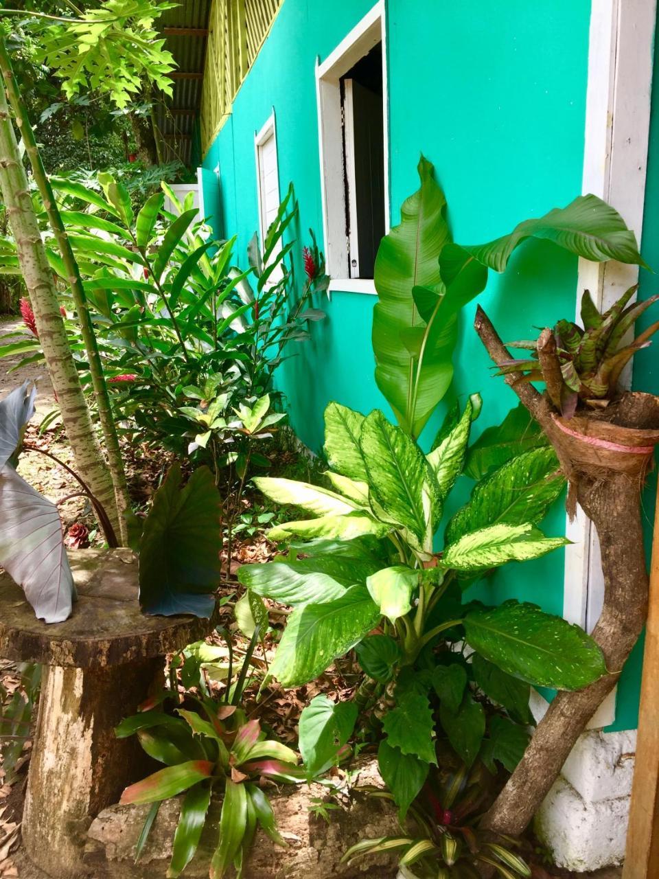 Хостел Oasis Puerto Viejo de Talamanca Экстерьер фото